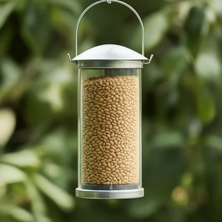 Bird Food