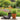 Lawn & Garden