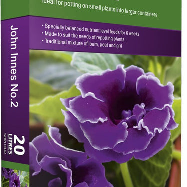 Ambassador John Innes No.2