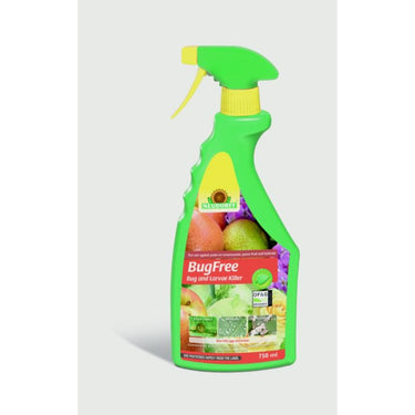 Bug Killer Plants Flower Insecticide Larvae