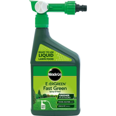 Miracle-Gro Evergreen Fast Green