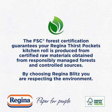 Regina Thirst Pockets Kitchen Roll - 6 Rolls