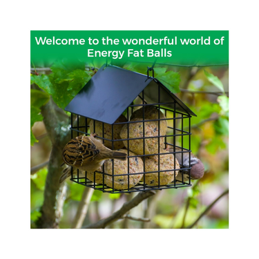 Bucktons 150 Wild Bird Energy Balls