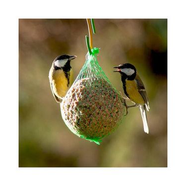 Bucktons 150 Wild Bird Energy Balls