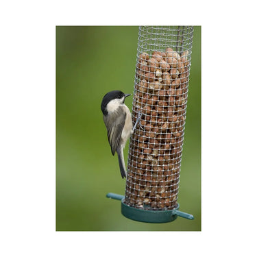 Copdock Mill Peanut Kernels 20kgs