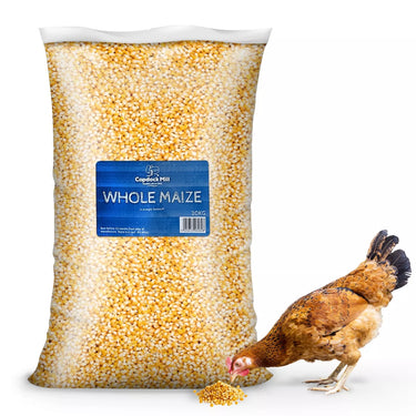 Copdock Mill - Whole Maize Chicken Feed - 20kg