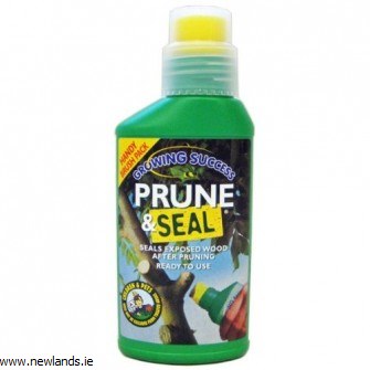 Growing Success Prune and Seal
