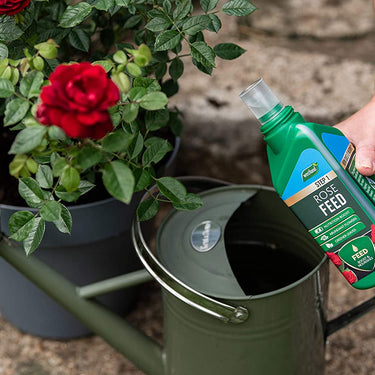 Westland Rose Feed & Protect Concentrates 2 in 1