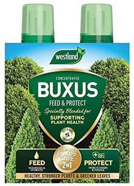 Westland Buxus 2 in 1 Feed & Protect