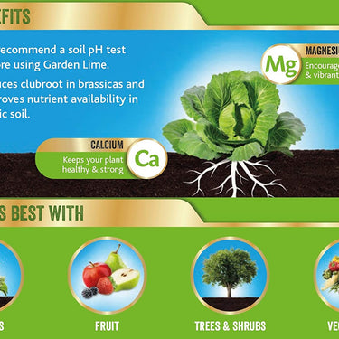 Westland Garden Lime Soil Conditioner Natural