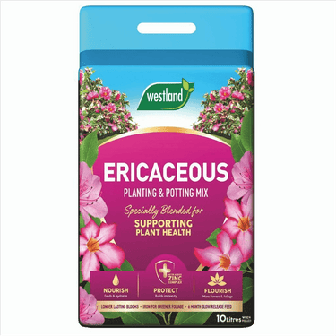 Westland Ericaceous Planting & Potting Mix