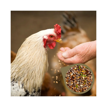 Copdock Mill Poultry Gold Chicken Feed - 20kg