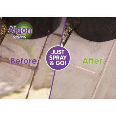 Algon Path & Patio Cleaner - 20L