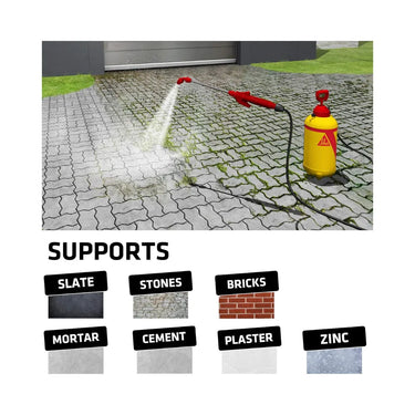 Sika Mould Buster Concentrated 5L